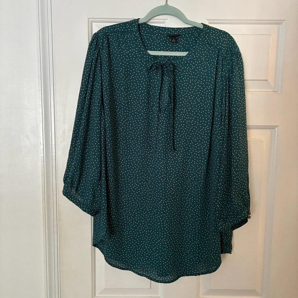 Torrid Teal Dotted Blouse - Picture 2 of 13